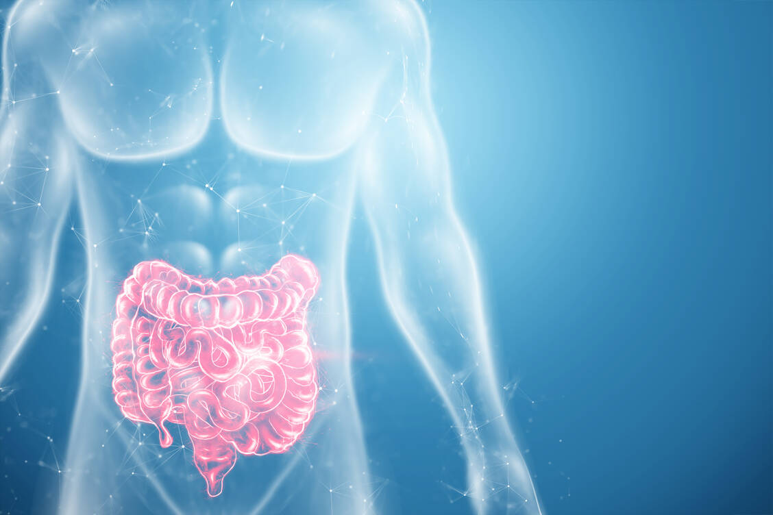 Tryptophan könnte bei chronisch-entzündlichen Darmerkrankungen eine größere Rolle spielen als bisher angenommen. / © Getty Images/MARHARYTA MARKO