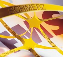 <p class="fotonachweis">Abbildung: PZ</p>