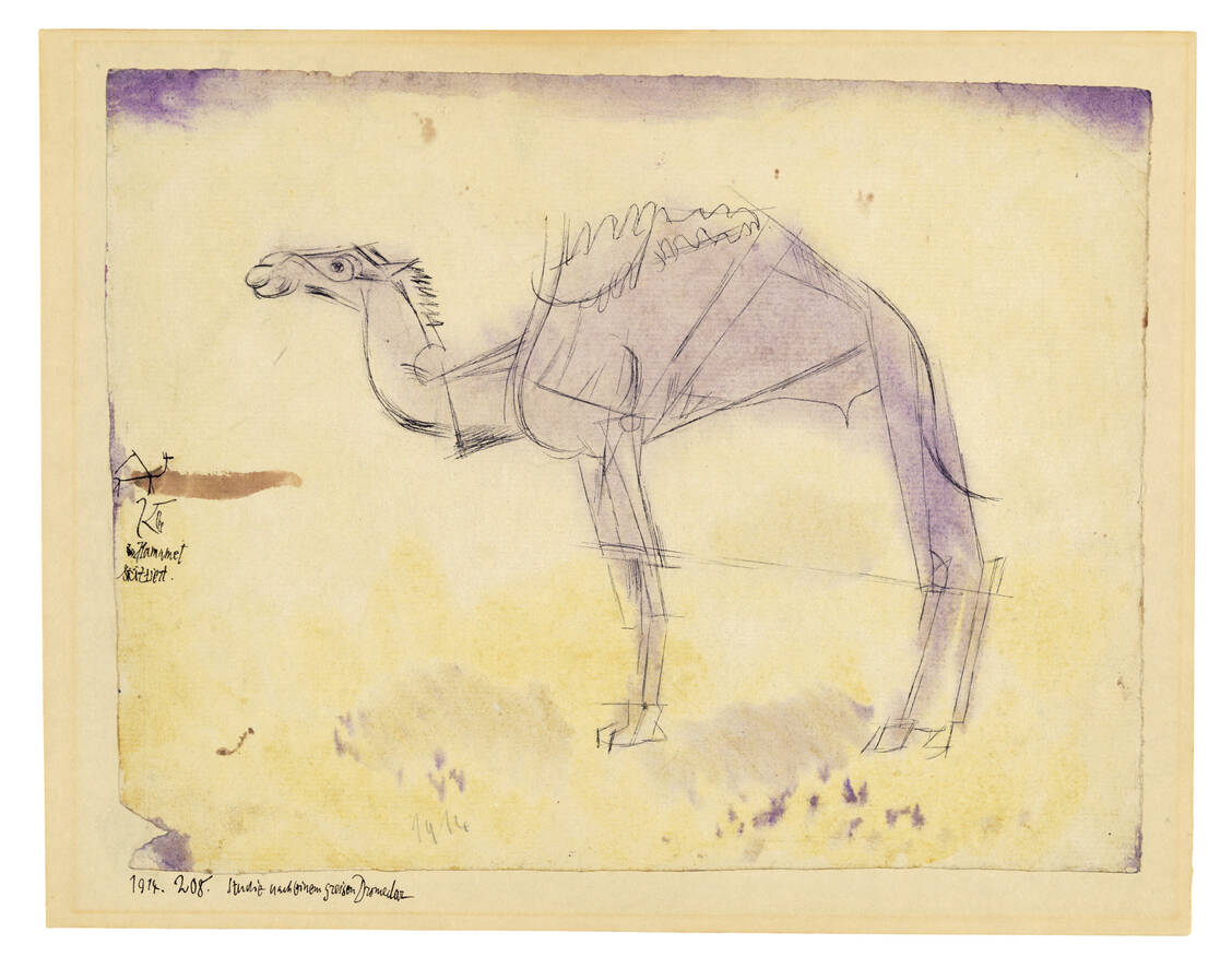 »Studie nach einem greisen Dromedar«, Feder und Aquarell auf Karton, 1914. / Foto: Foto: Zentrum Paul Klee, Bern