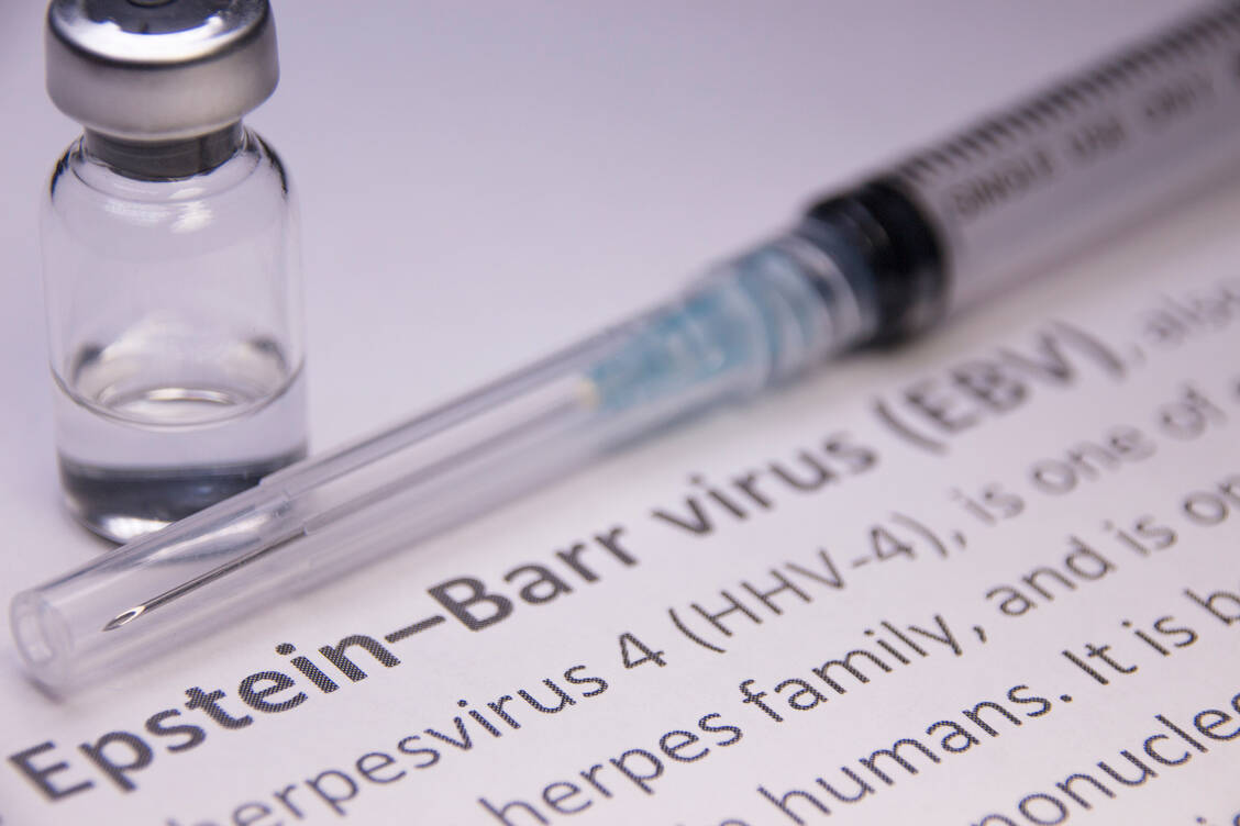 Die meisten Menschen kommen im Laufe ihres Lebens mit dem Epstein-Barr-Virus in Kontakt. Es verbleibt lebenslang im Körper. / Foto: Getty Images/Hailshadow