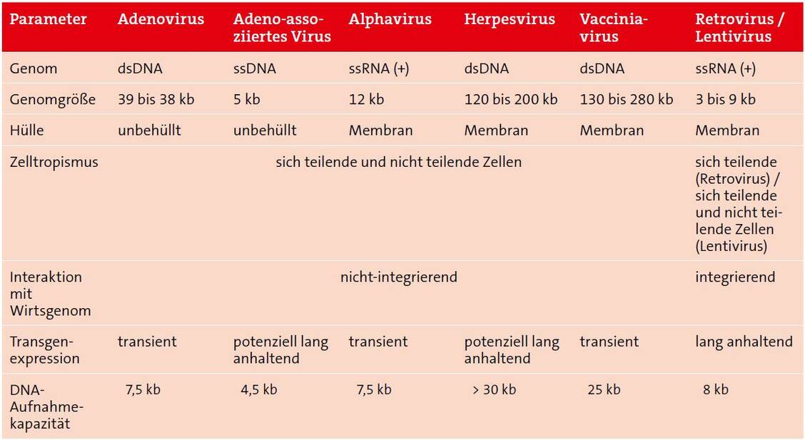 Tabelle 1: Vergleich der viralen Vektoren in der Gentherapie (mod. nach www.genetherapynet.com)