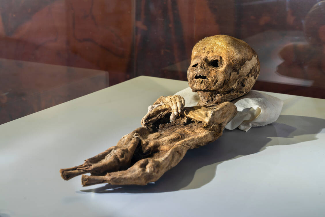 Mumien per Post: Die teilweise illegalen Online-Geschäfte alarmieren Forschende. Nicht alle Überreste sind so sicher gelagert wie diese Kindermumie im Museum von Aksaray, Türkei. / © Shutterstock/Bilal Kocabas