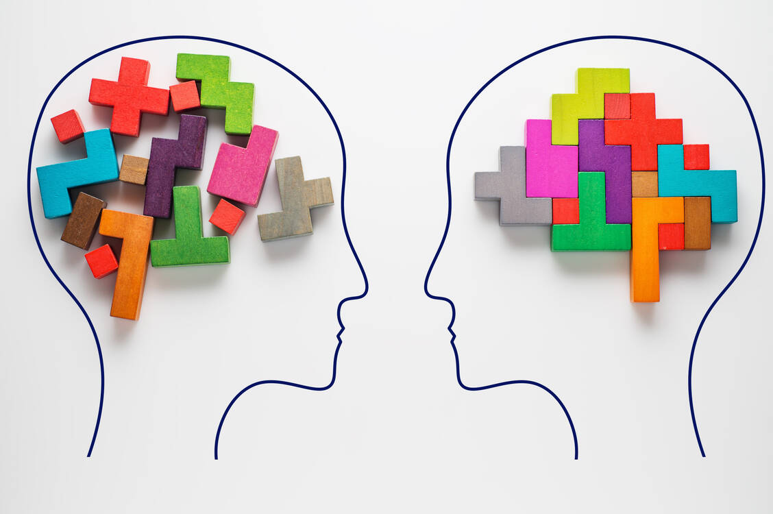 Mit »Julich Brain« steht nun ein erster 3-D-Atlas des menschlichen Gehirns zur Verfügung, der die Variabilität der Hirnstruktur mit mikroskopischer Auflösung widerspiegelt / Foto: Shutterstock/Radachynskyi Serhii