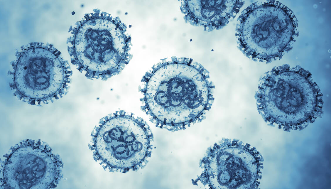 Sowohl das Coronavirus als auch das Hantavirus können schwere Erkrankungen auslösen. Doch beide Viren sind grundverschieden. / © Getty Images/BlackJack3D