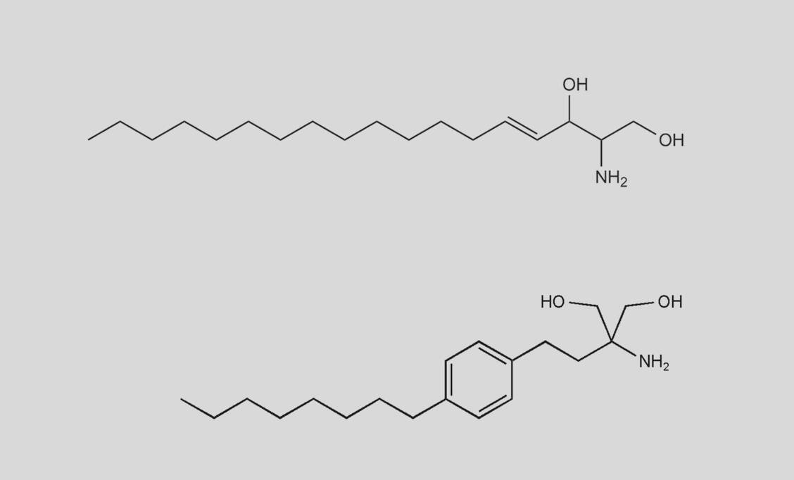 Fingolimod (unten) ist ein synthetisches Strukturanalogon von Sphingosin (oben) und ein Modulator an den fünf Sphingosin-1-Phosphat-Rezeptoren S1PR1 bis S1PR5. / Foto: PZ/Wurglics