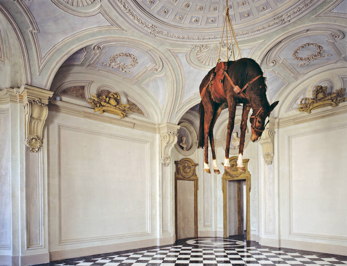 Geschichte als Last: Das Pferd ist hier kein Denkmal des Triumphs, sondern der Lähmung. / © Paolo Pellion di Persano