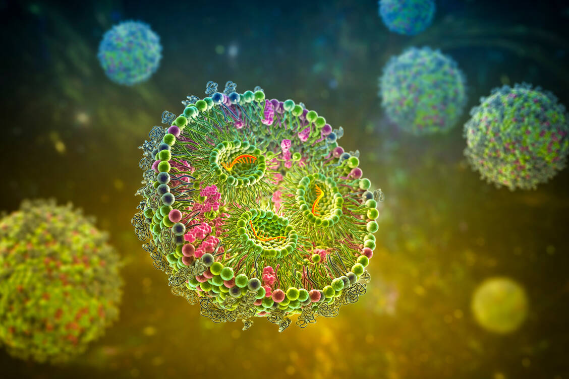 Die Entwicklung neuer, nicht inflammatorischer Lipidnanopartikel könnte insbesondere für Nukleinsäuretherapien interessant sein, die hohe oder wiederholte Dosierungen erfordern. / © Getty Images/Science Photo Library/Kateryna Kon