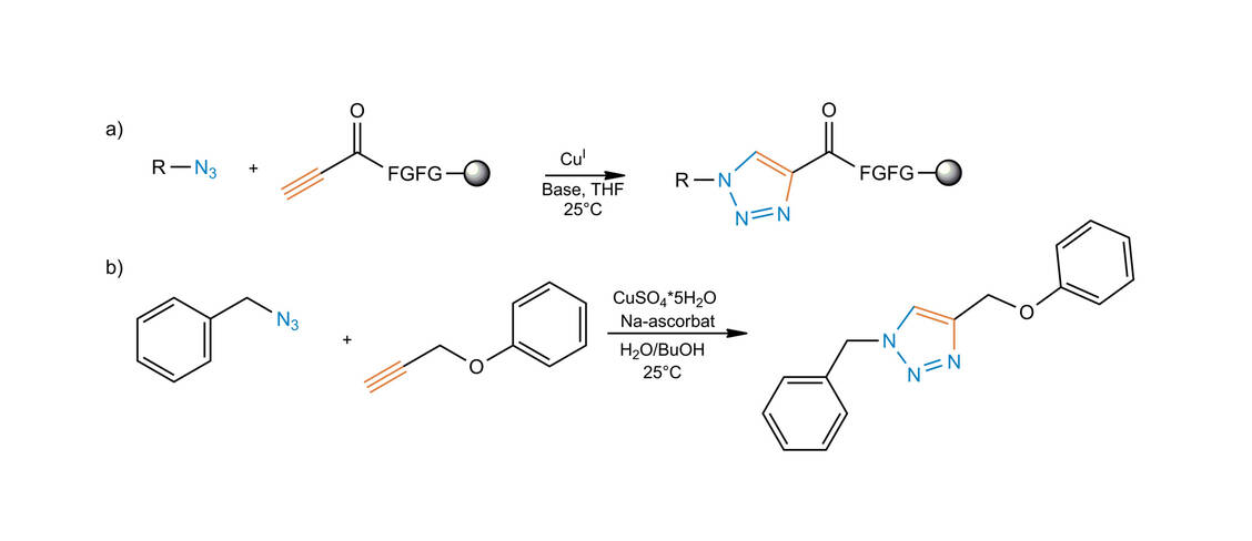 Abbildung 1: Kupfer-katalysierte Reaktionen von a) Meldal und Mitarbeitern und b) Sharpless und Mitarbeitern. F: Phenylalanin, G: Glycin, gefüllte Kreise: Festphasen, THF: Tetrahydrofuran