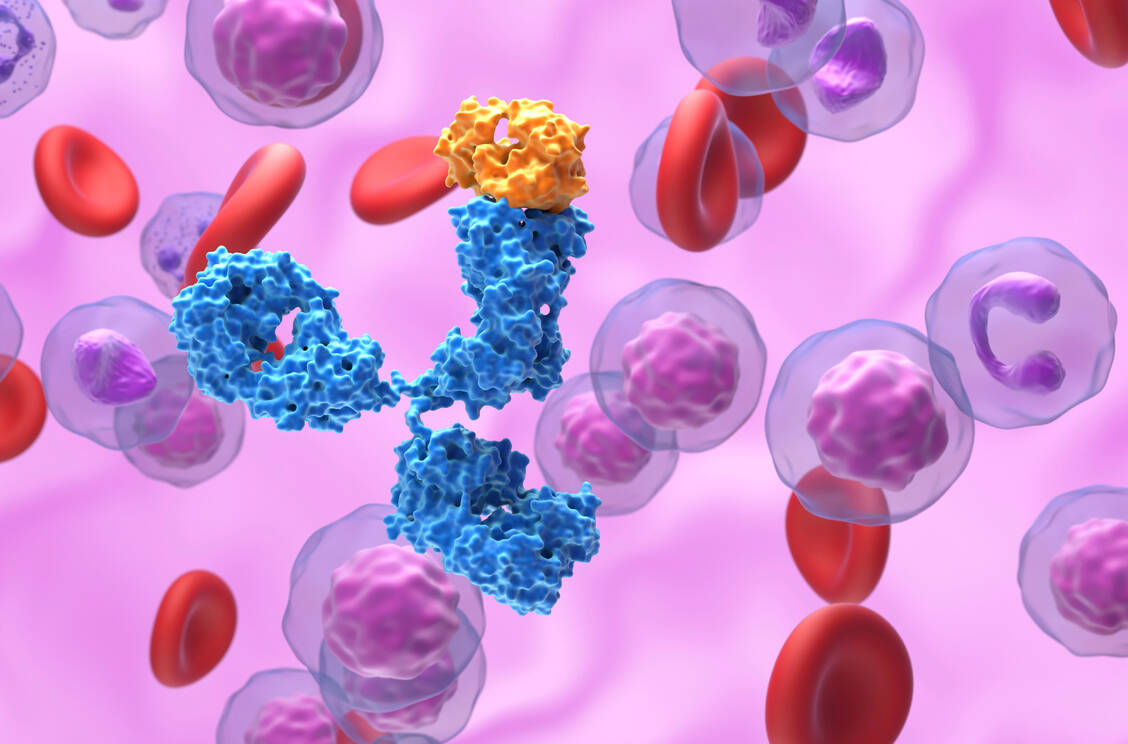 Der neue Antikörper Marstacimab erhöht die Thrombinbildung, indem er den extrinsischen Weg der Gerinnungskaskade verstärkt. Dadurch werden Defizite im intrinsischen Weg umgangen. / © Getty Images/Science Photo Library