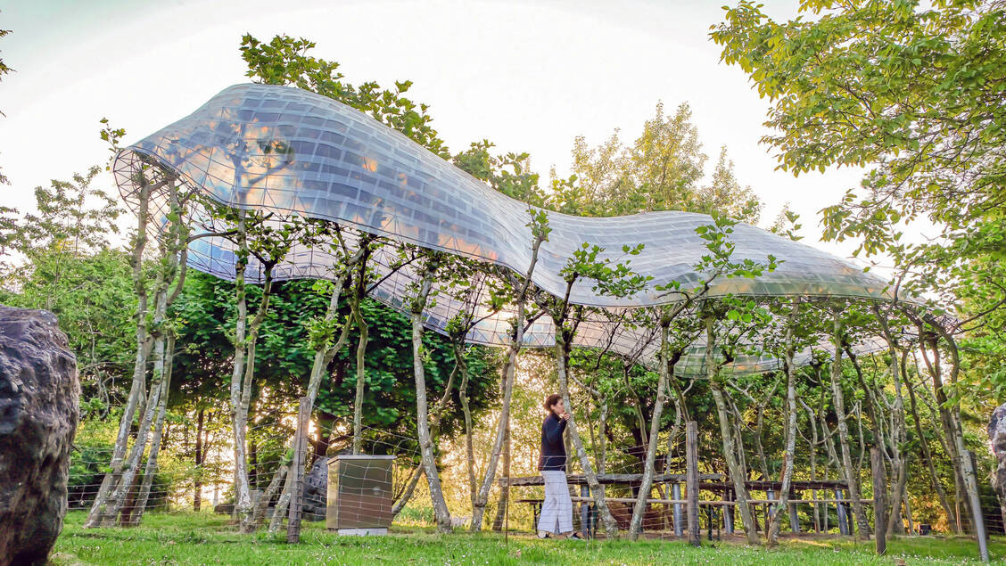 Pavillion unter Plantanen: In der Baubotanik wird die Natur für menschliche Zwecke umprogrammiert. / © TUM/Kristina Pujkilovic