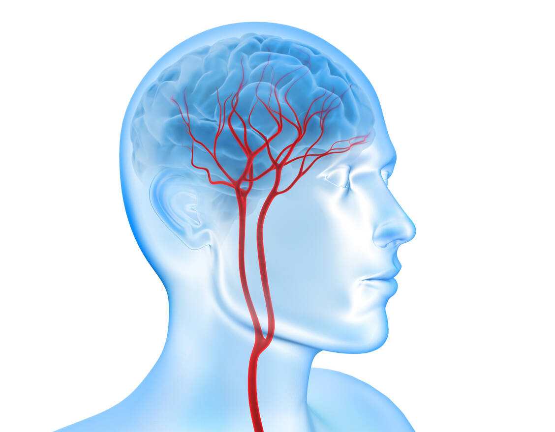 Störungen der Blut-Hirn-Schranke könnten eine Rolle in der Pathologie von Morbus Parkinson spielen.  / Foto: Adobe Stock/peterschreiber.media