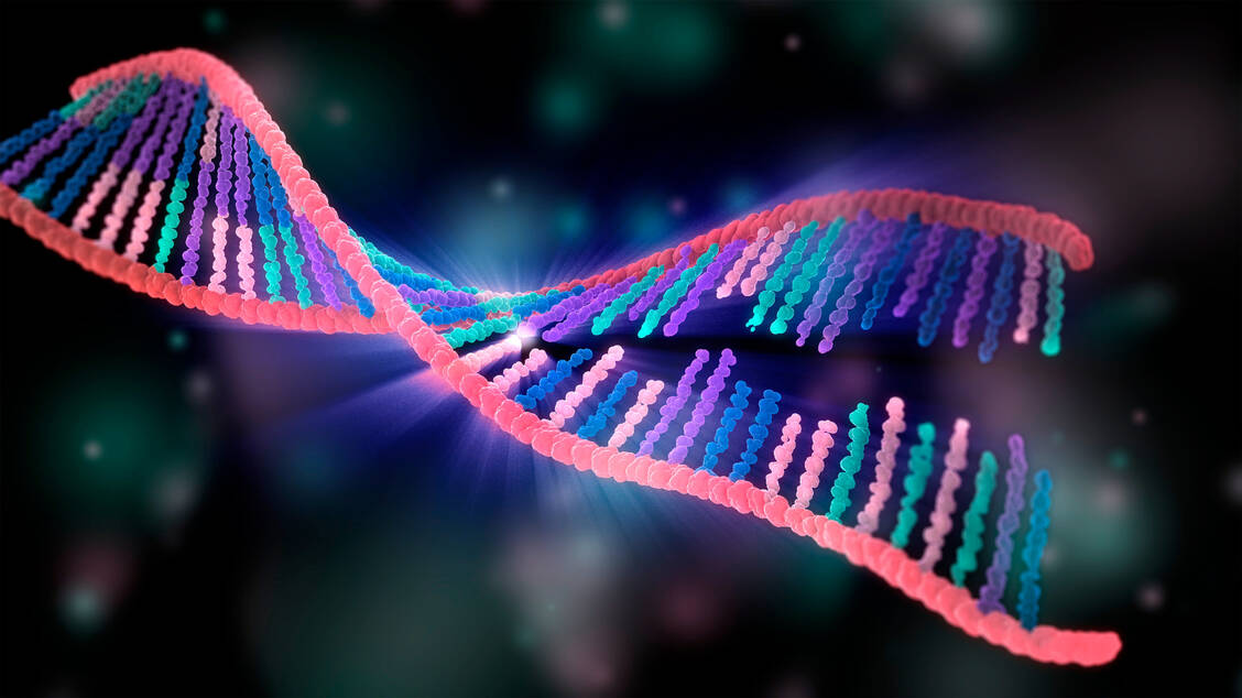 RNAi-Therapeutika unterdrücken die Synthese von bestimmten Genprodukten, ohne Gentherapeutika zu sein. Das ist wichtig zu betonen, da der Begriff »Gentherapie« bei vielen Menschen auch angstbesetzt ist. / Foto: Getty Images/Tumeggy/Science Photo Library