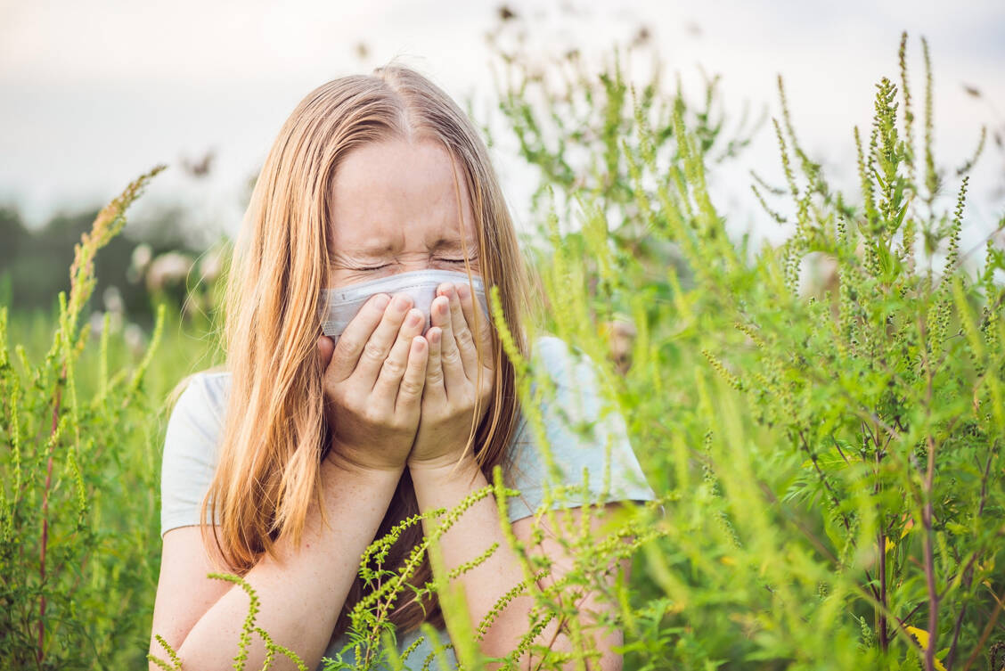 Allergien beruhen auf einer immunologischen Reaktion gegen ein Antigen, zum Beispiel Gräserpollen. / Foto: Adobe Stock/galitskaya