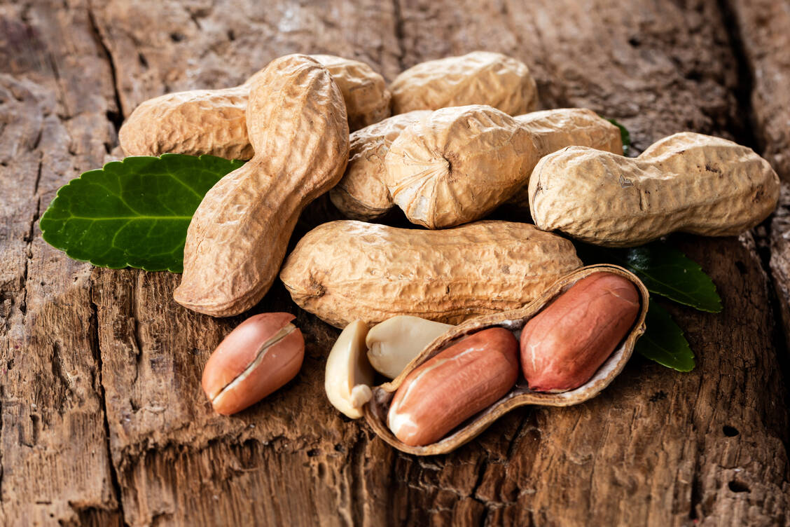 Erdnüsse können bei Allergikern schwere Reaktionen bis hin zum anaphylaktischen Schock auslösen. / Foto: Adobe Stock/karepa