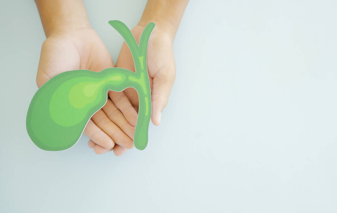 Das Cholangiokarzinom entwickelt sich in den Gallengängen. Trägt der Tumor bestimmte genetische Veränderungen, kommen zielgerichtete Therapien wie Futibatinib infrage. / Foto: Getty Images/	SewcreamStudio