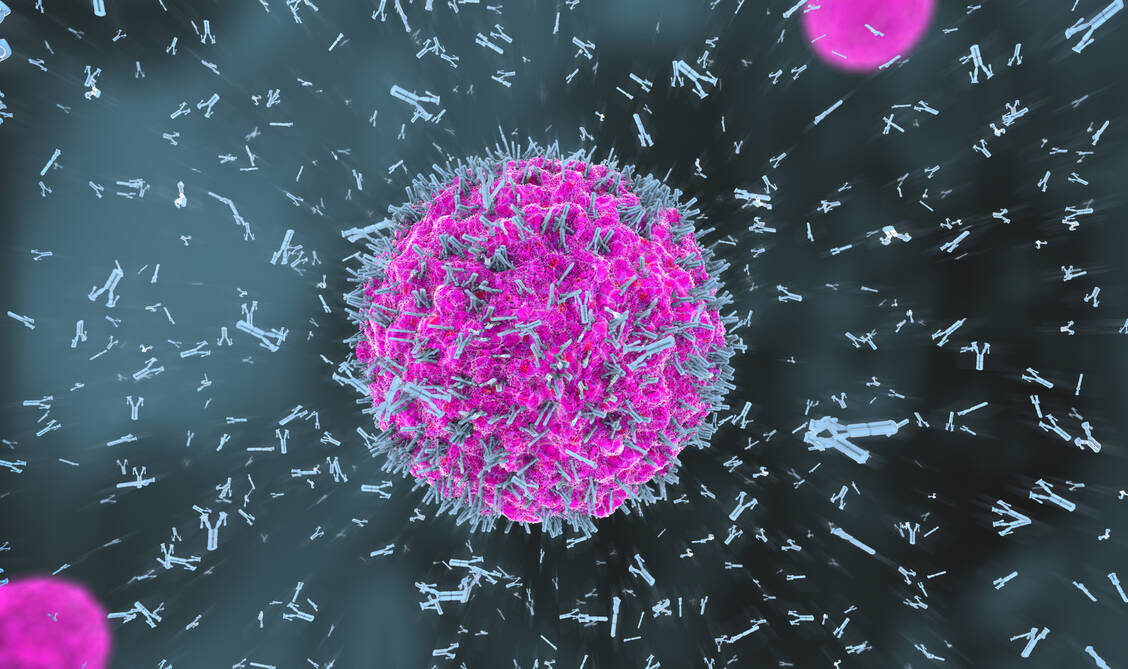 Nach der Impfung mit YF-S0 wurden im Tiermodell große Mengen neutralisierender Antikörper gegen SARS-CoV-2 gebildet. / Foto: Adobe Stock/Christoph Burgstedt