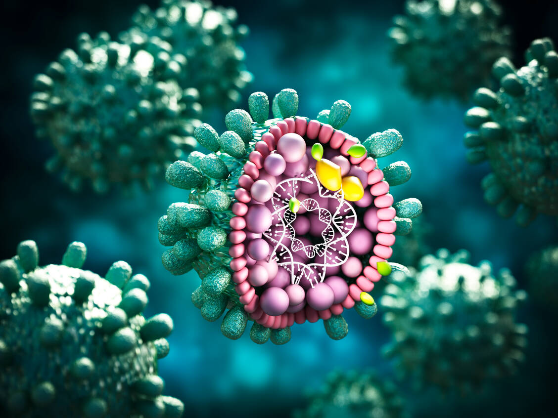 Infektionen mit dem Hepatitis-B-Virus kann man mit einer Impfung verhindern. Gegen das Hepatitis-C-Virus gibt es noch keinen Impfstoff. / Foto: Adobe Stock/Destina