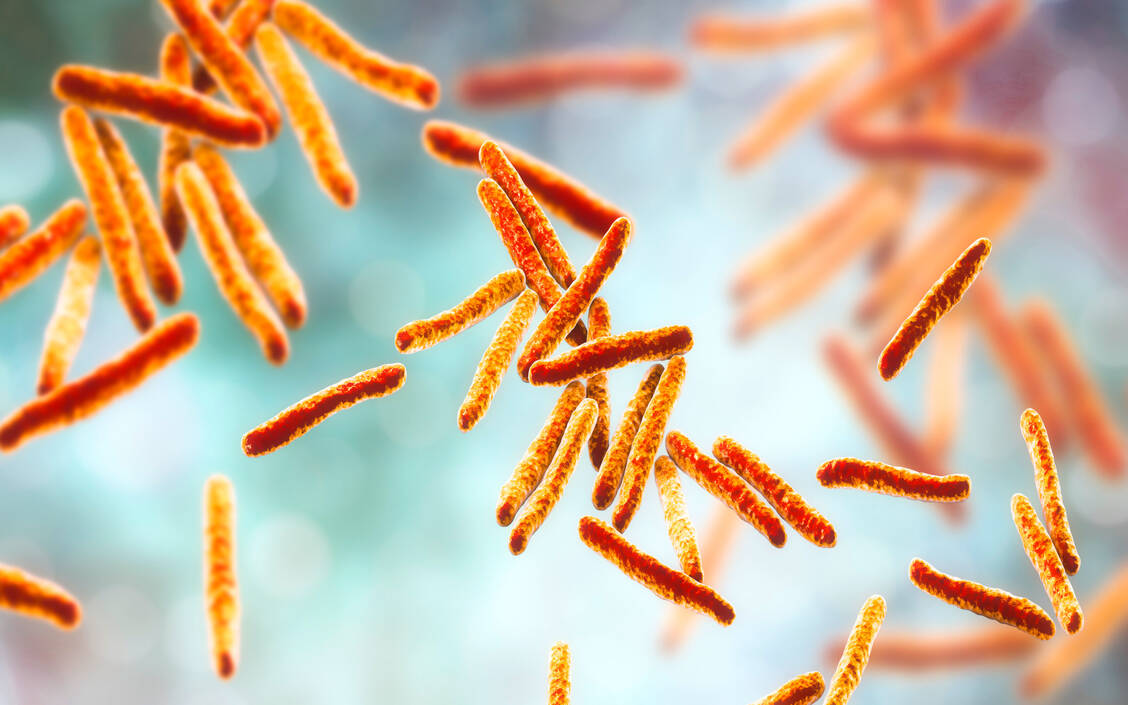 Die Tuberkulose ist die häufigste zum Tod führende bakterielle Infektionskrankheit weltweit. Der Erreger Mycobacterium tuberculosis weist eine Reihe von Besonderheiten auf. Eine davon: Er wächst sehr langsam. / Foto: Adobe Stock/ Kateryna_Kon