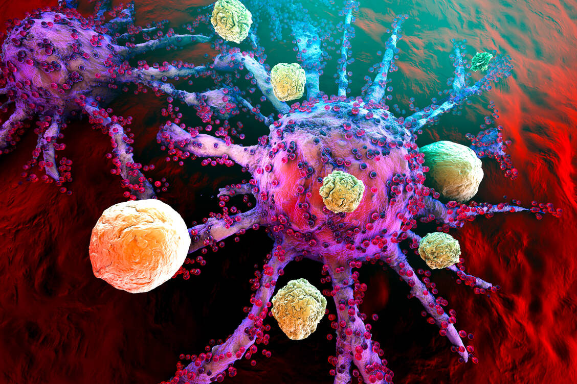 Ziel der Krebsimmuntherapie ist es, Tumoren mithilfe des Immunsystems zu bekämpfen. / Foto: Adobe Stock/Spectral-Design