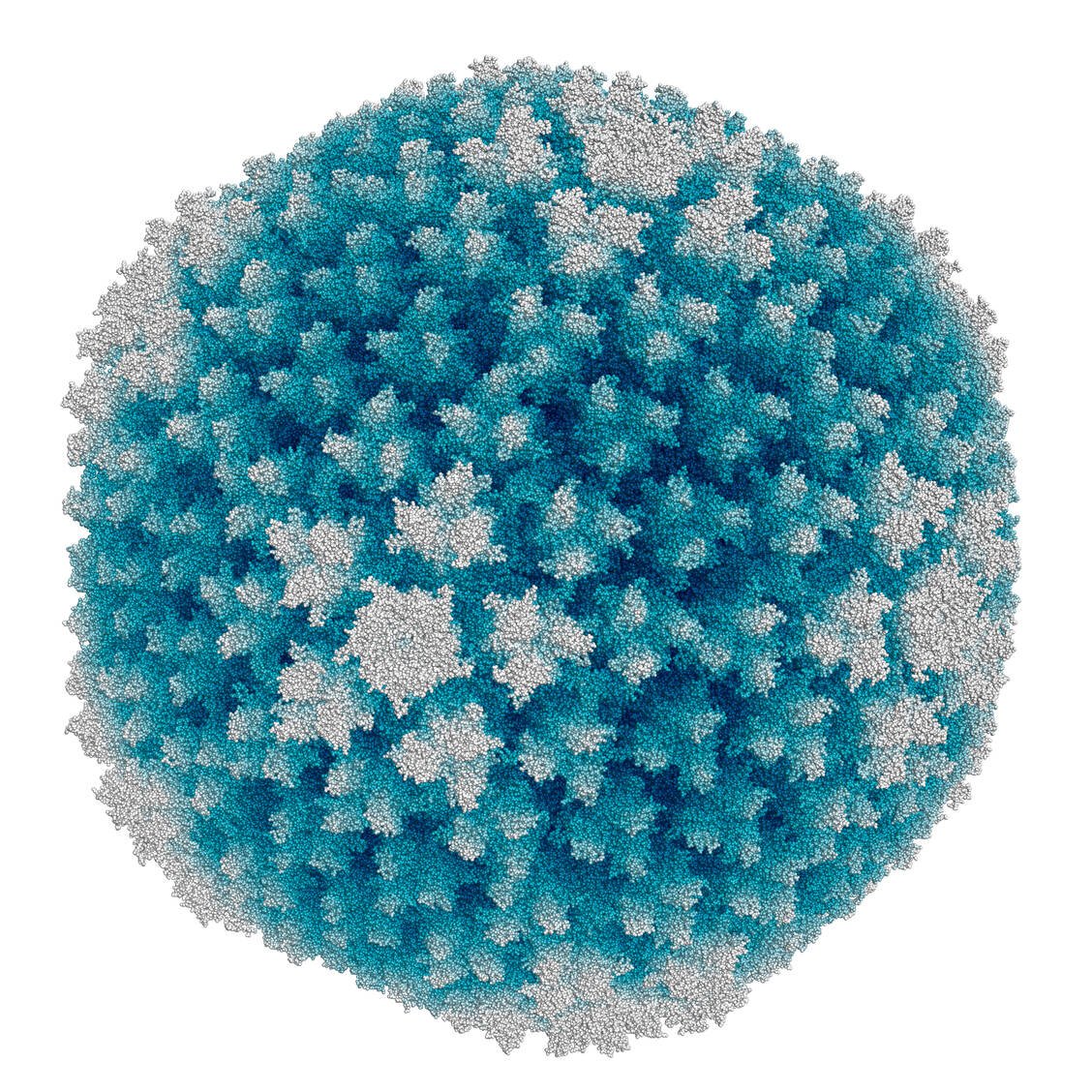 Einer der häufigsten Vektoren in der Gentherapie: Adenovirus / Foto: Adobe Stock/petarg