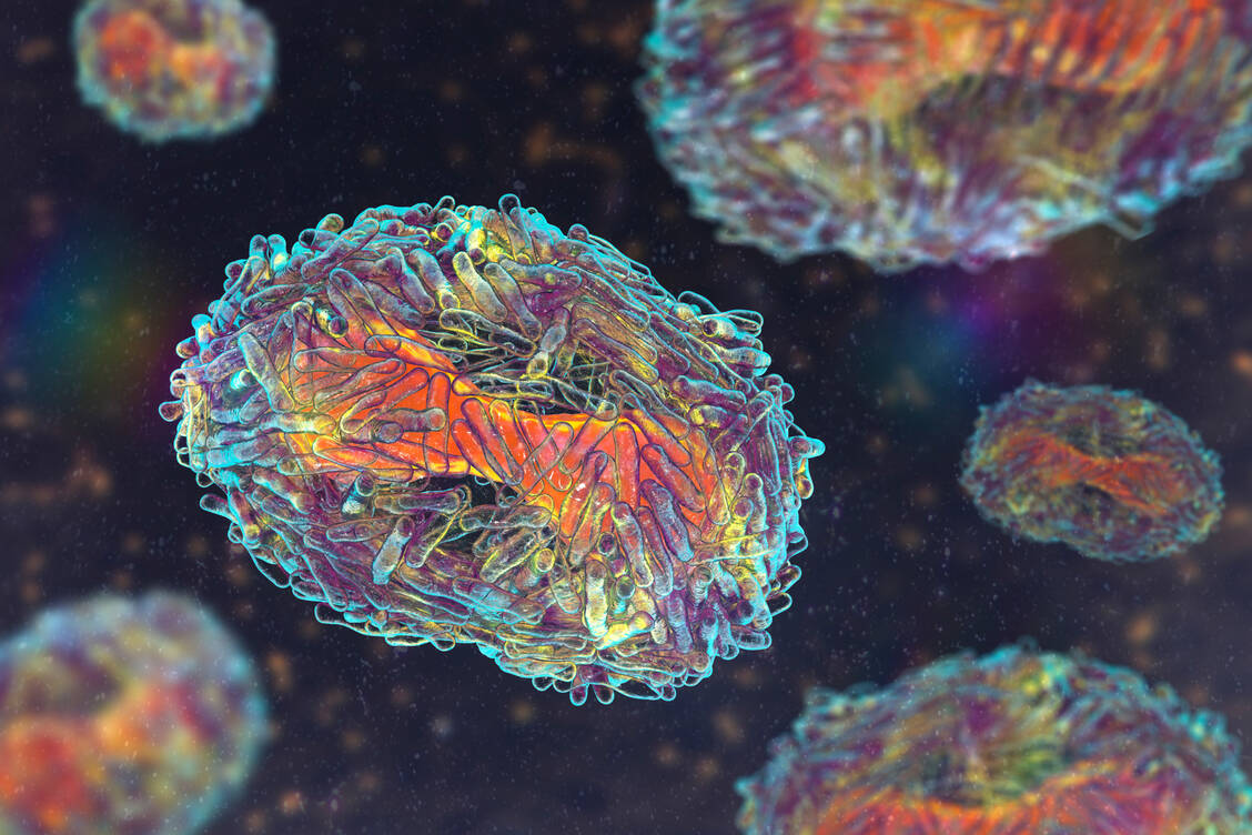 Der WHO wurden bis Mittwoch mehr als 35.000 Affenpocken-Nachweise aus 92 Ländern gemeldet. / Foto: Getty Images/Science Photo Library/Kateryna Kon