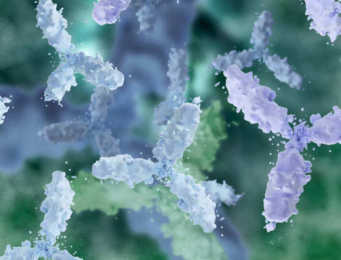 Mittlerweile gibt es einige therapeutische Antikörper, die bei Hämophilie angewendet werden. Einer davon, Concizumab, hat nun bei Hämophilie B ein sehr gutes Ergebnis in der Nutzenbewertung erzielen können. / © Adobe Stock/fotoliaxrender