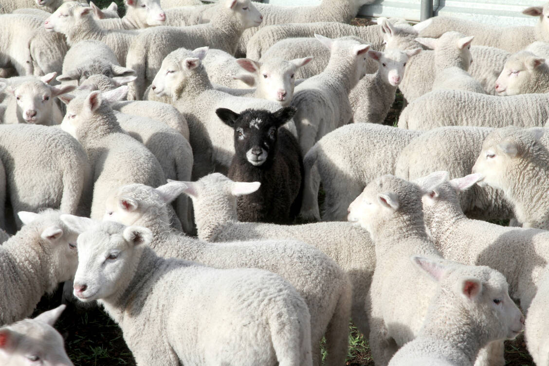 Von einer Herdenimmunität sind wir noch weit entfernt. / Foto: Getty Images/Vic Ratnieks
