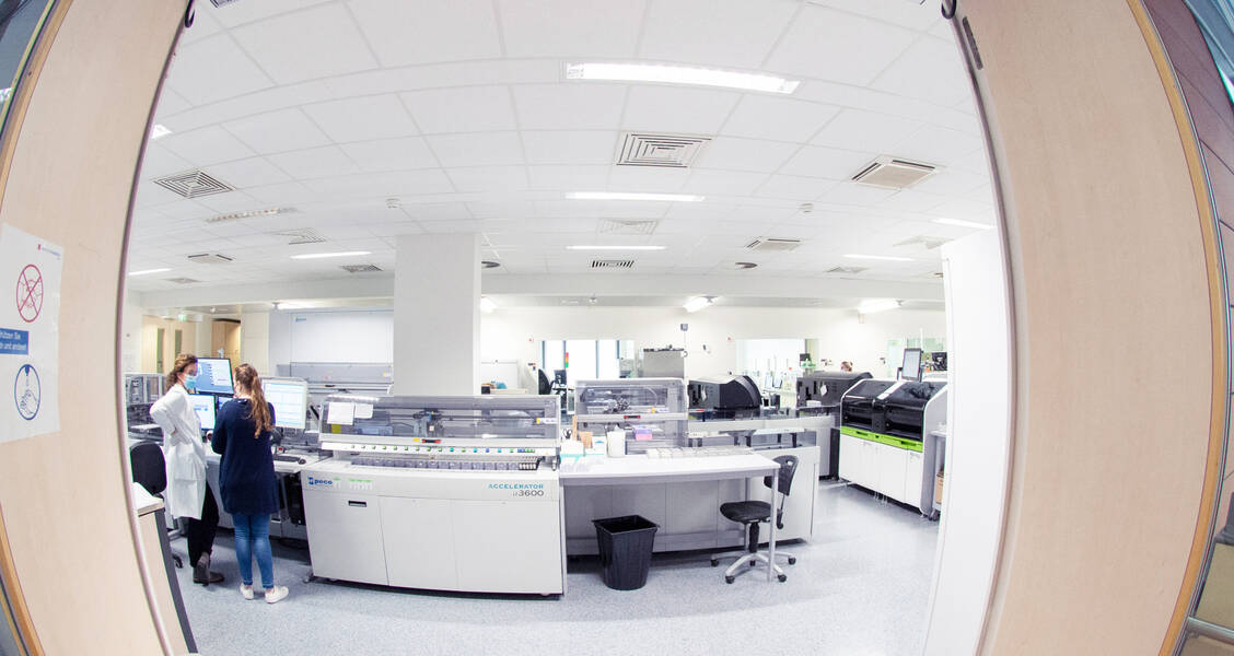 Ein Einblick ins Labor des Instituts für Klinische Chemie und Laboratoriumsmedizin des Universitätsklinikums in Mainz / Foto: Herr Pulkowski, Unimedizin Mainz