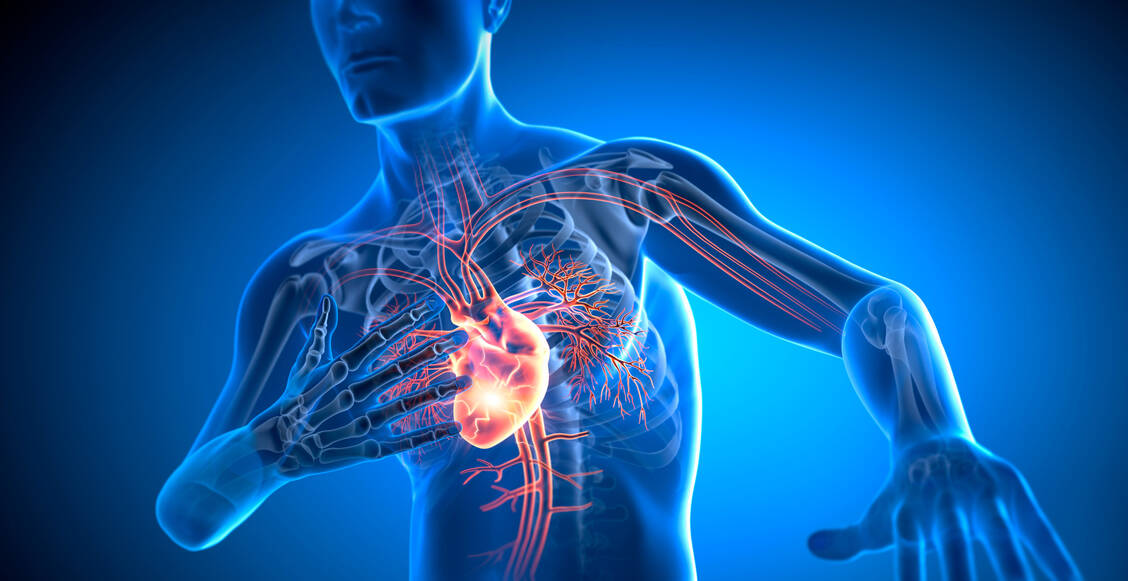 Jährlich erleiden mehr als 200.000 Menschen in Deutschland einen Herzinfarkt. Ursache sind verstopfte Herzkranzgefäße. Dadurch wird ein Teil des Herzmuskels nicht mehr ausreichend mit Blut und Sauerstoff versorgt. Das Gewebe stirbt nach wenigen Stunden ab und vernarbt. / © GettyImages/peterschreiber.media