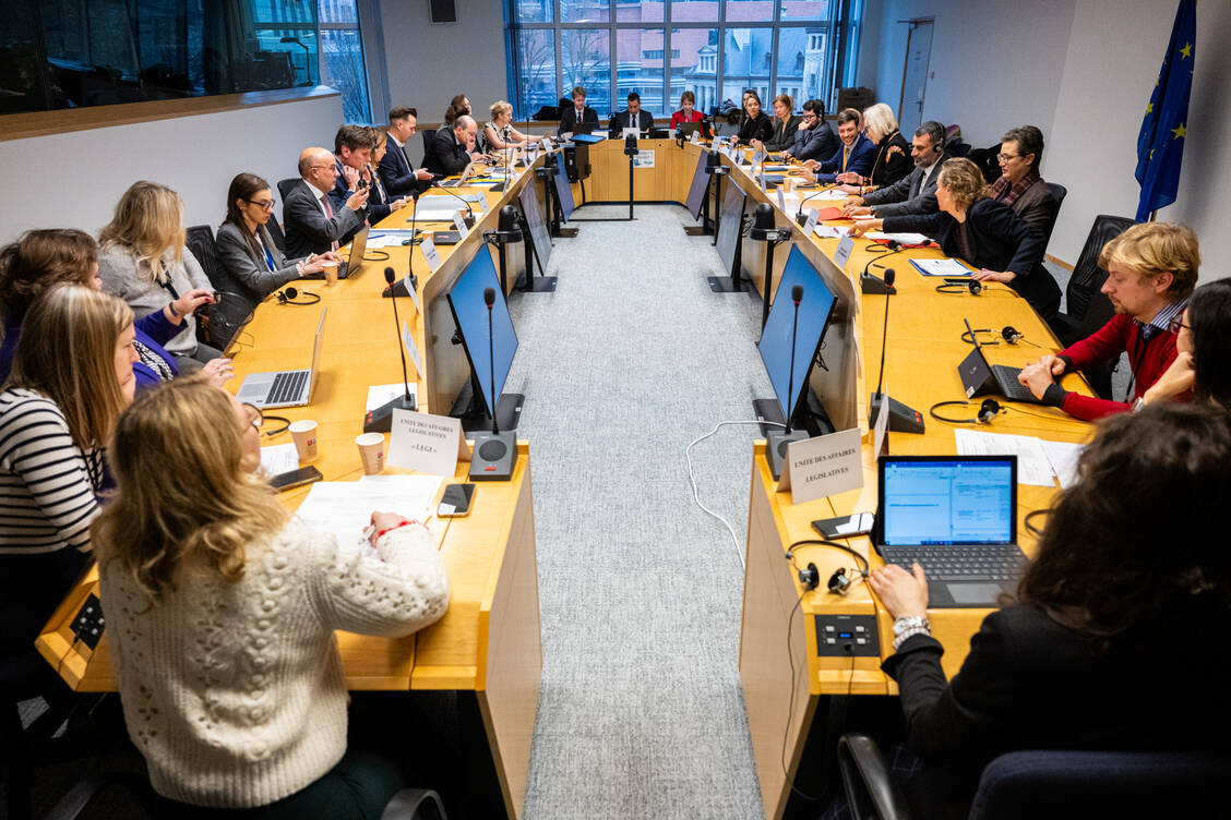 Der ENVI-Ausschuss (Foto) wird aufgebrochen. Für Gesundheitsthemen ist jetzt federführend der neue SANT-Ausschuss zuständig.  / © European Union 2024/EP