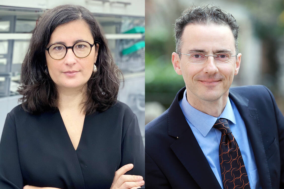 Stolz auf die Apotheker und die Ergebnisse der Glicemia-2.0-Studie: die Initiatoren Professor Dr. Kristina Friedland vom Institut für Pharmazie der Universität Mainz und Dr. Helmut Schlager, Geschäftsführer des Wissenschaftlichen Instituts für Prävention im Gesundheitswesen der Bayerischen Landesapothekerkammer / Foto: privat/PZ
