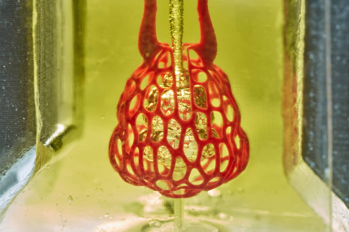 Dieser 3D-Druck soll ein funktionsfähiges Lungensäckchen nachahmen. / Foto: Rice University/Jordan Miller