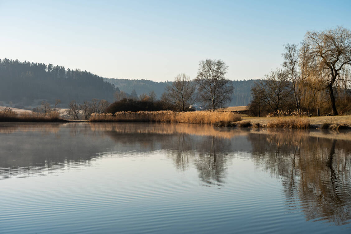 Bei vielen Arzneimitteln, die vor 2005 zugelassen wurden, fehlen oder liegen keine vollständigen, den heutigen Standards entsprechenden Daten zu Verbleib und Wirkung der Wirkstoffe in der Umwelt vor. / © Imago/Silas Stein
