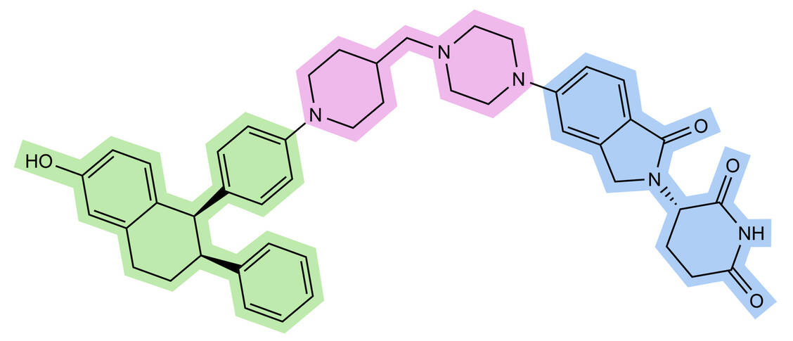 Abbildung 2: Vepdegestrant besteht aus einem Estradiol-Derivat (grün unterlegt) als Warhead, einem Linker (rosa) und einem Lenalidomid-Derivat (blau) als Cereblon-Liganden. / © PZ/Wurglics