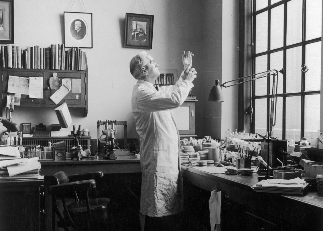 Alexander Fleming (1881 bis 1955) erhielt 1945 den Medizin-Nobelpreis für die Entdeckung des Penicillins – ein Zufallsfund, der die Pharmazie und die Medizin revolutionierte. / © Imago Images/Gemini Collection