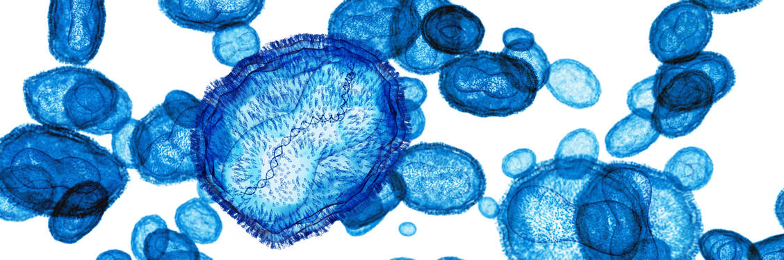Bei Mpox-Viren handelt es sich um DNA-Viren aus der Familie Poxviridae.  / © Getty Images/Science Photo Library/Tumeggy