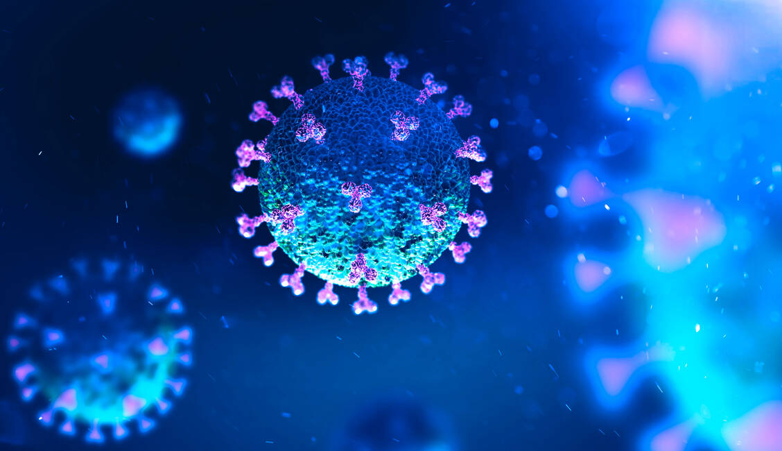 Das Spike-Protein, das im Profil die für Coronaviren typische Krone bildet, ist der Angriffspunkt von Casirivimab und Imdevimab. / Foto: Adobe Stock / Andrew Vodolazhskyi
solvod