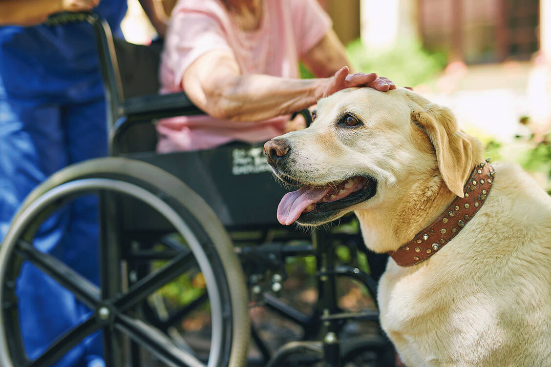 Der Kontakt zu Tieren macht nicht nur Freude, sondern kann auch Leiden lindern.  / Foto: iStock/PeopleImages