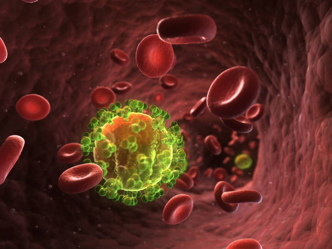 HI-Virus in der Blutbahn / Foto: Shutterstock/Sebastian Kaulitzki