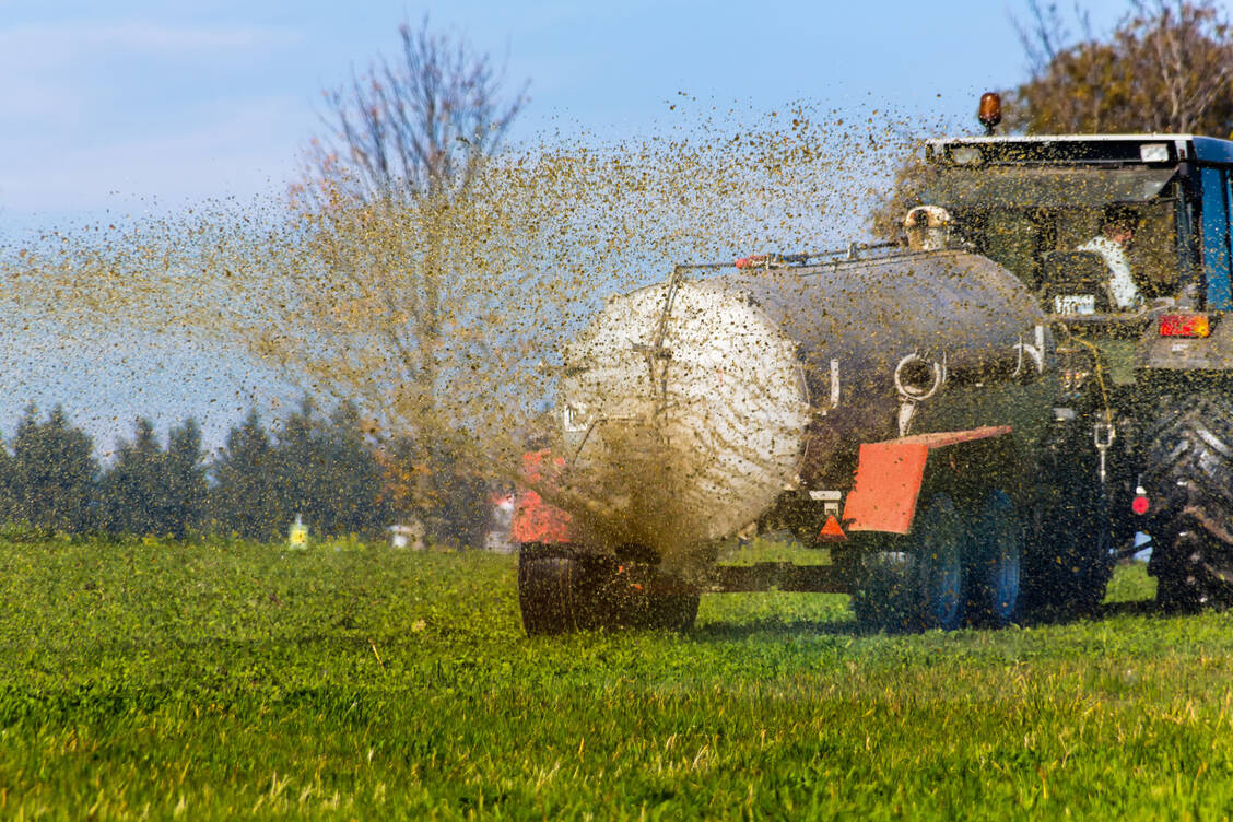 Naturdünger mit reichlich Schadpotenzial / Foto: Adobe Stock/Gina Sanders