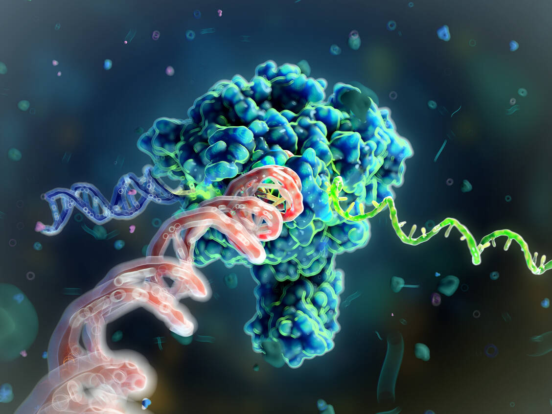 Die Proof-of-Principle-Daten der Forschenden zeigen einen innovativen und flexiblen Ansatz zur gezielten Behandlung hämatopoetischer Stammzellen in vivo mittels mRNA auf. / Foto: Getty Images/Science Photo Library/Nanoclustering