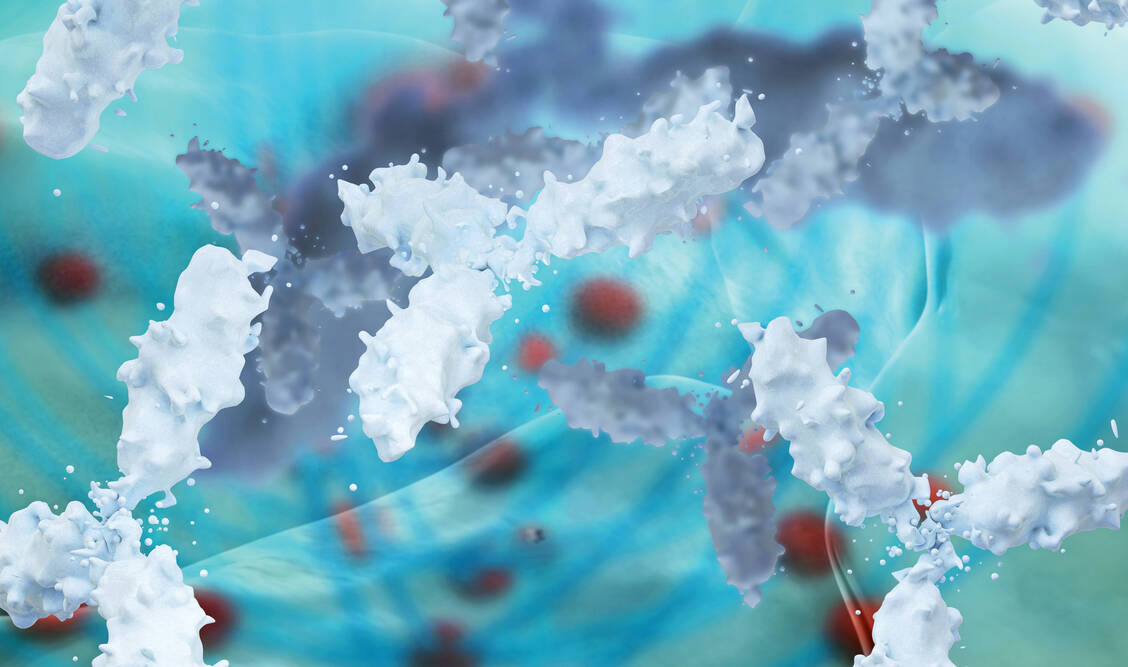 Im Sinne einer passiven Immunisierung bekommen derzeit in Studien Covid-19-Patienten Antikörper gegen das Coronavirus. Ist die Krankheit jedoch schon weit fortgeschritten, scheint die Therapie wenig effektiv oder möglicherweise sogar kontraproduktiv. / Foto: Fotolia/fotoliaxrender