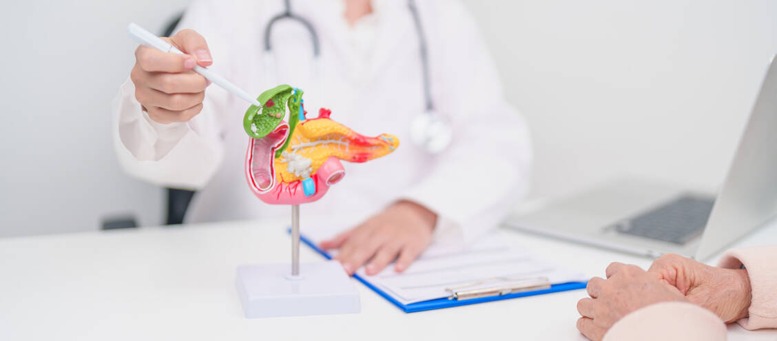 Das Pankreaskarzinom ist eine der tödlichsten Krebsarten. Ein neuer RAS-Inhibitor konnte das mediane Überleben in einer Phase-III-Studie im Vergleich zu einer Standardchemotherapie nahezu verdoppeln. / © Adobe Stock/Jo Panuwat D