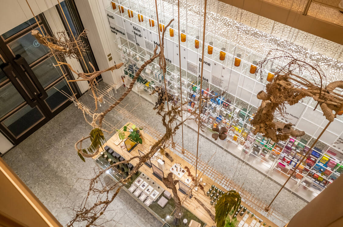 Taiwan: Dieses Kunstwerk aus natürlichen Materialien realisierte ein Designer in einer Apotheke, die nur 120 Quadratmeter groß ist. / Foto: Adobe Stock/ChenPG