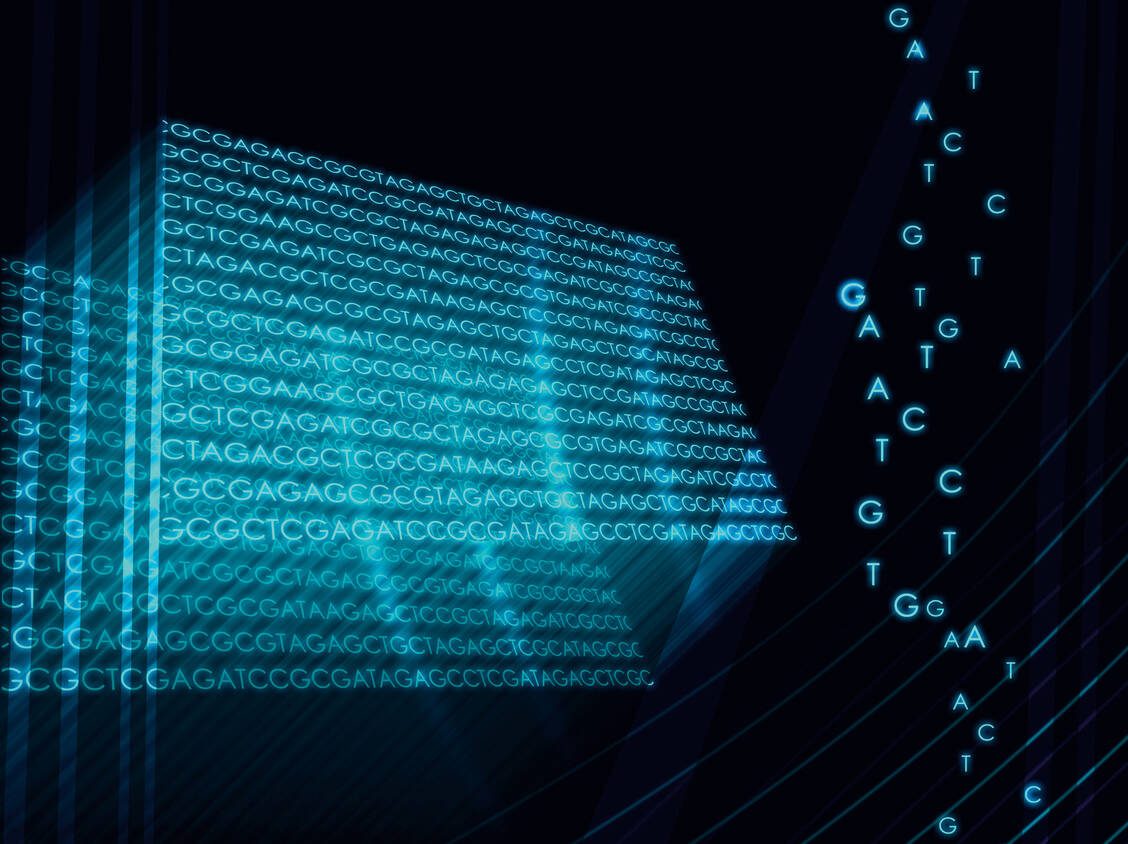 Bisher sind keine genetischen Risikofaktoren für schwere Covid-19-Verläufe bekannt geworden. Das ändert sich jetzt dank einer Gruppe von Wissenschaftlern, die sich zur »Covid-19 Host Genetics Initiative« zusammengeschlossen haben. / Foto: Fotolia/af-p