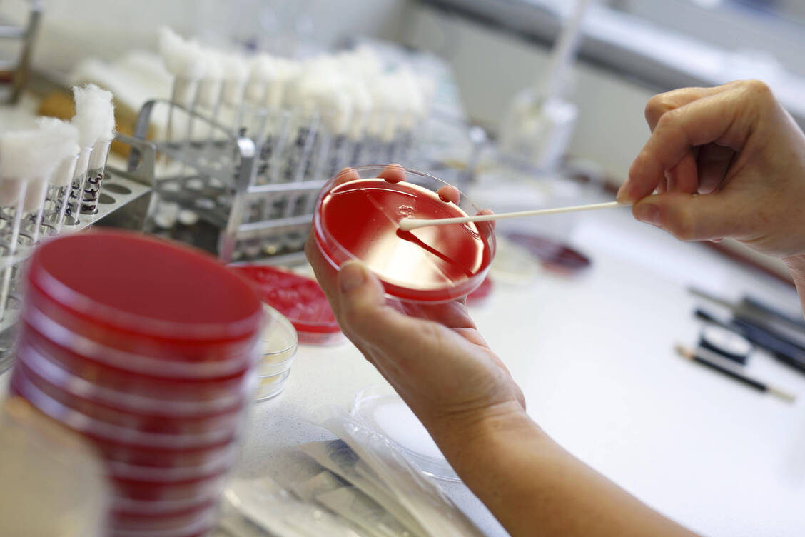 Da die EU-Kommission die Antibiotikaresistenz als eine bedeutende und wachsende Gesundheitsbedrohung erkannt hat, hat sie ihr seit 2022 Priorität eingeräumt und arbeitet eng mit der WHO zusammen. / © Imago Images / imagebroker