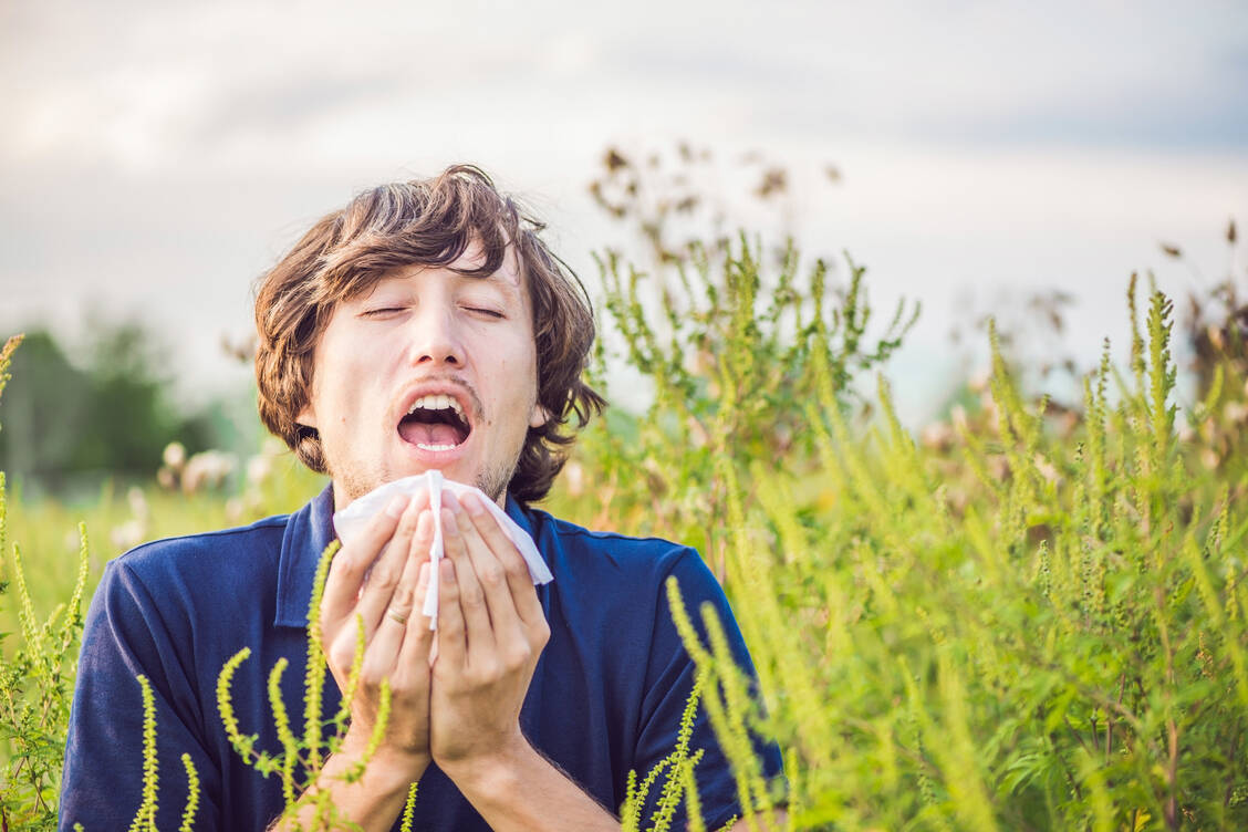 Antiallergikum Desloratadin: Demnächst werden national zugelassene Präparate auch ohne Rezept in der Apotheke erhältlich sein. / Foto: Fotolia/galitskaya