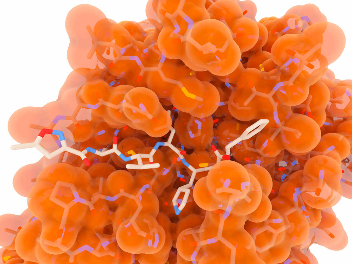 Gefahndet wird nach passgenauen Wirkstoffen gegen die Proteine des SARS-CoV-2-Virus wie hier eine Protease (Symbolbild). / Foto: Getty Images/Science Photo Library/Juan Gärtner