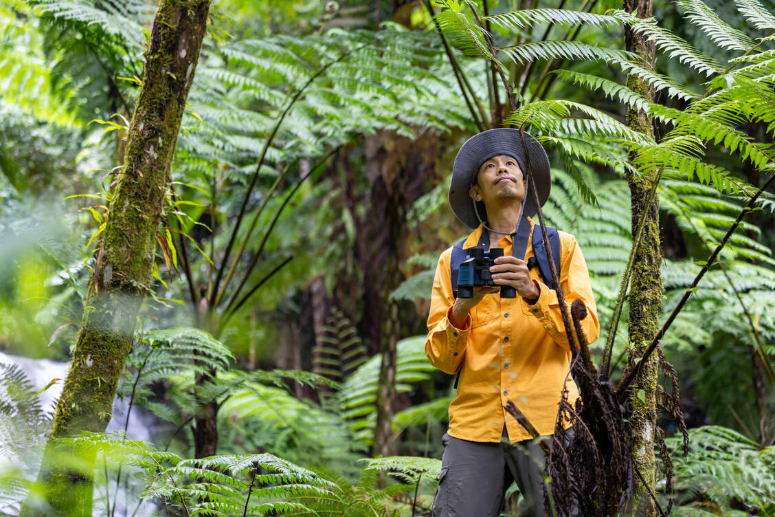 Hobby fürs Hirn: Vogelbeobachtung könnte der kognitiven Reserve zugute kommen. / © Adobe Stock/Akarawut
