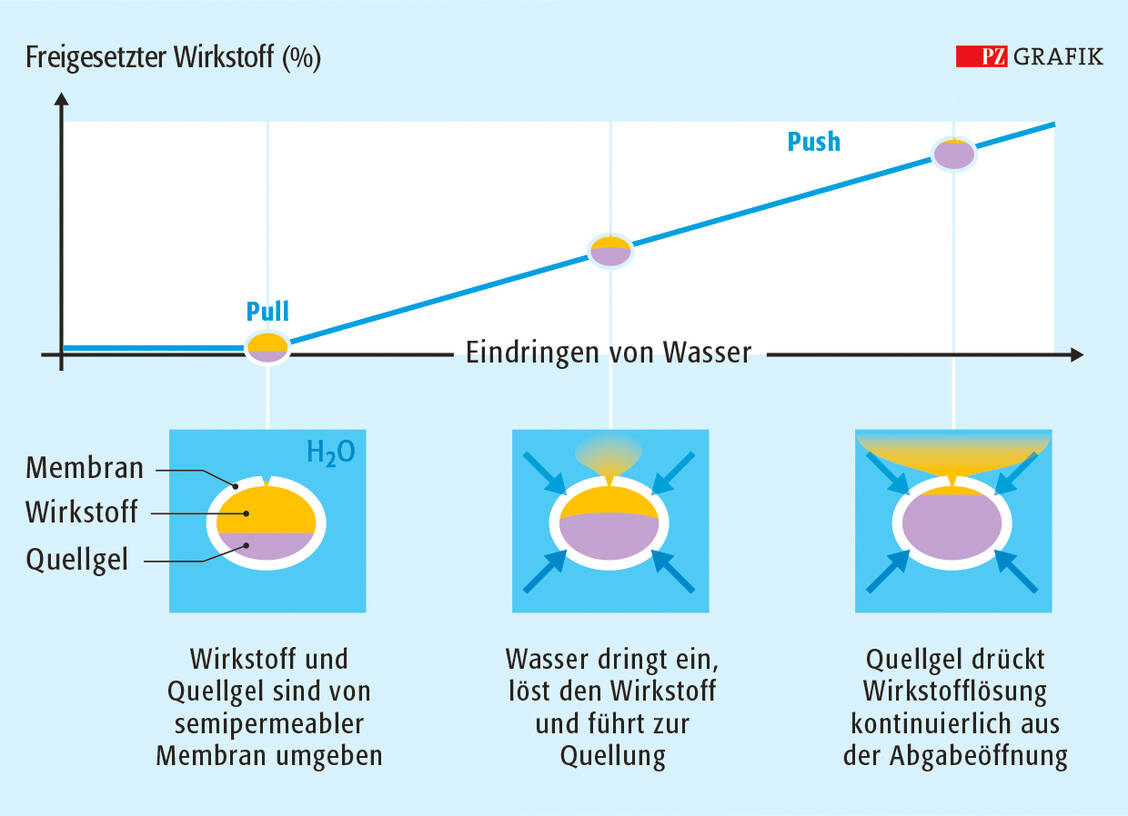 Abbildung 3: Funktionsweise und kumulative Wirkstofffreisetzung aus Push-Pull-Tabletten (OROS-Technologie) / Foto: Stephan Spitzer